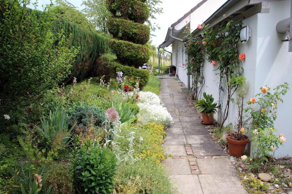 Wohnung Paradiso Busingen am Hochrhein Exterior foto