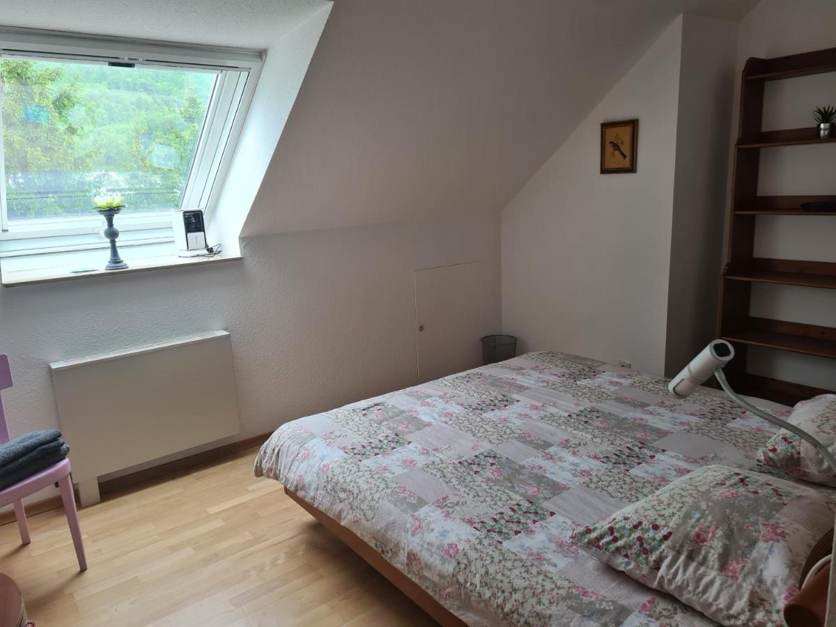 Wohnung Paradiso Busingen am Hochrhein Exterior foto